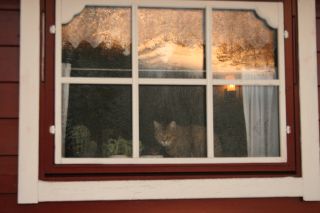 Old House II.JPG-for-web-normal.jpg